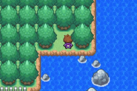Pokemon Unbound Evolution Items